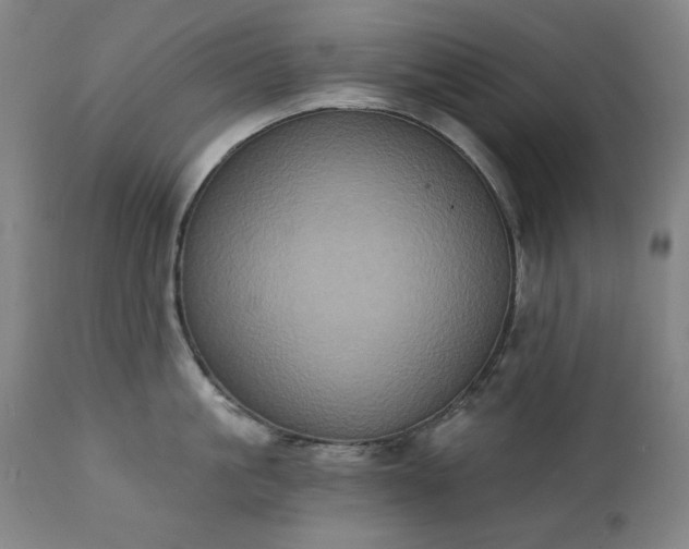 X0000111220861200907091310