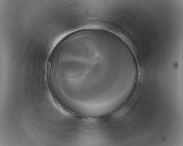 X0000111220862200907091310