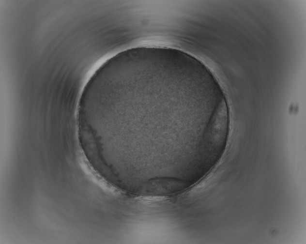 X0000111220864200907091310