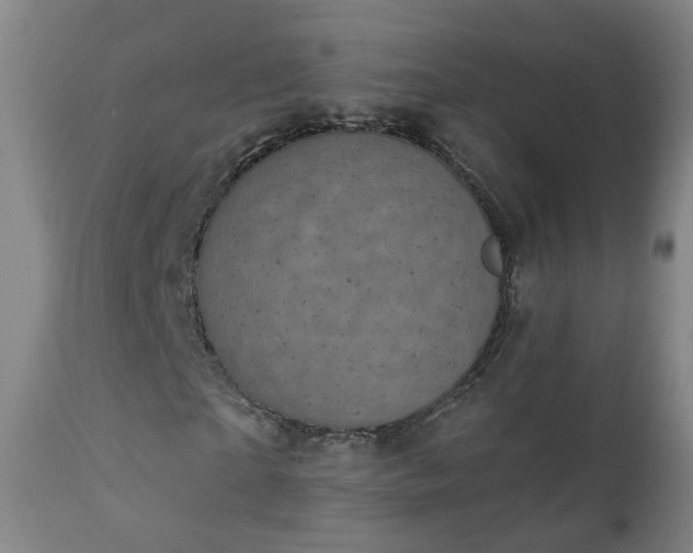 X0000111220865200907091309