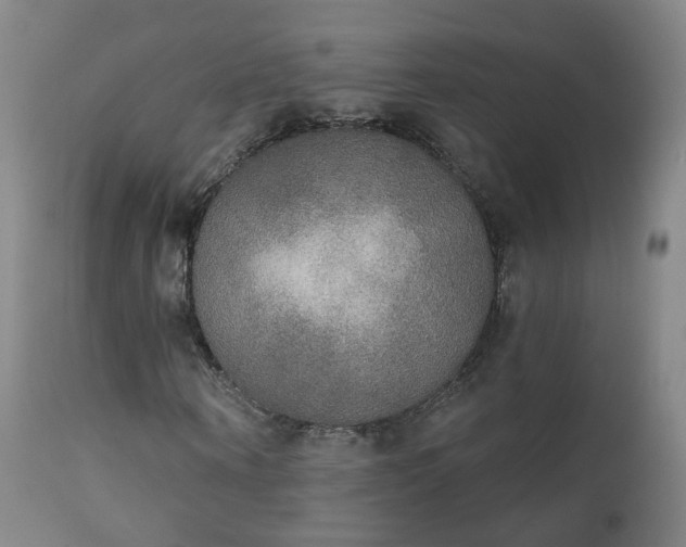 X0000111220866200907091309