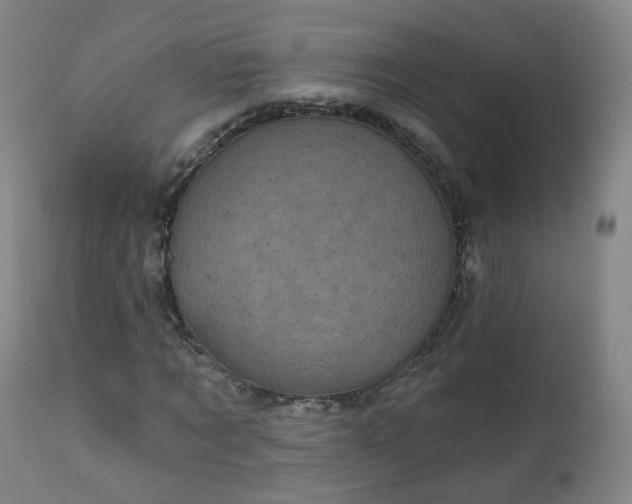 X0000111220869200907091309