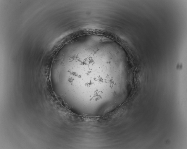 X0000111220870200907091309
