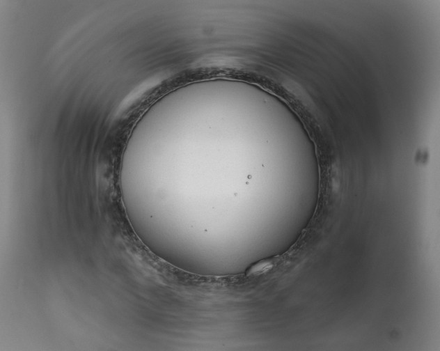 X0000111220872200907091309