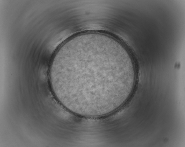 X0000111220873200907091309