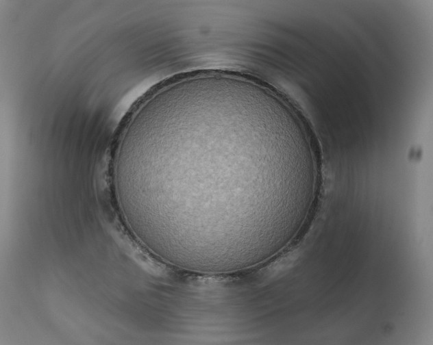 X0000111220875200907091309