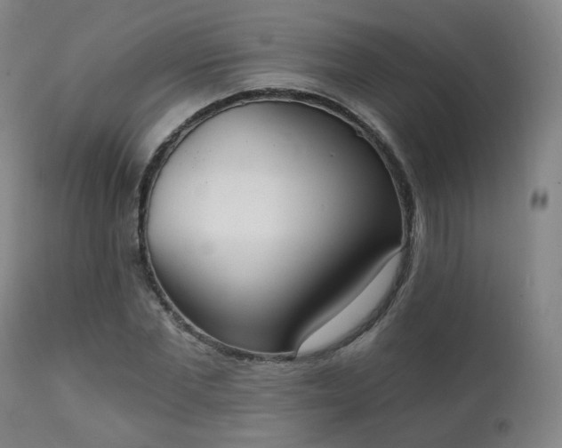 X0000111220877200907091309