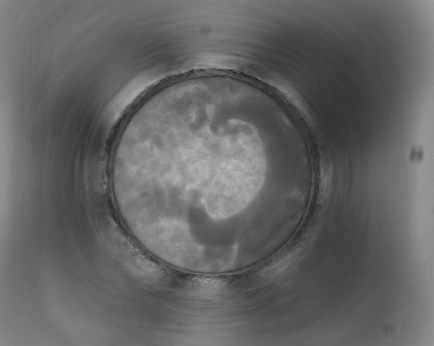X0000111220878200907091309