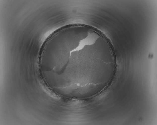 X0000111220879200907091309