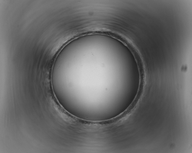 X0000111220881200907091309