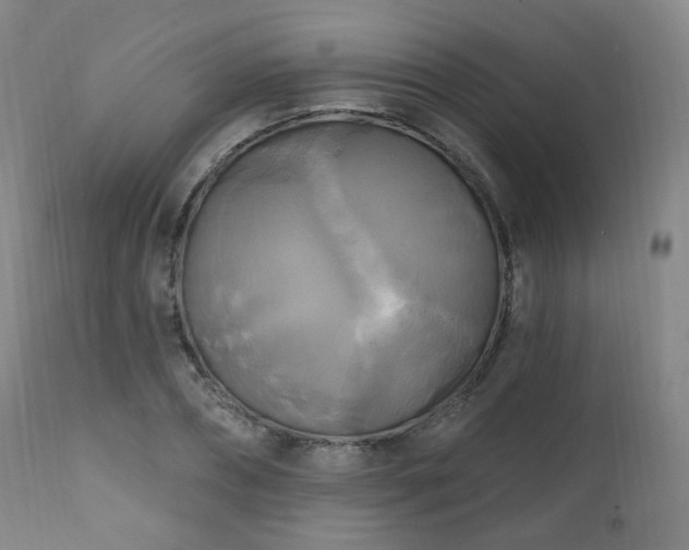X0000111220882200907091309