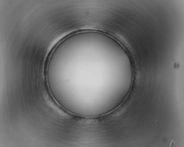 X0000111220884200907091309