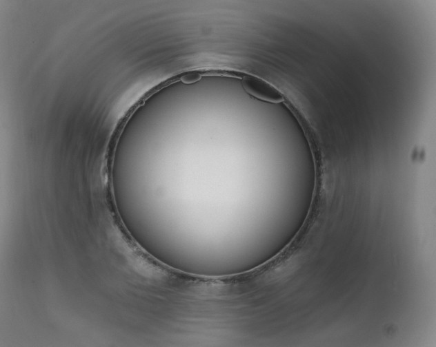 X0000111220885200907091309