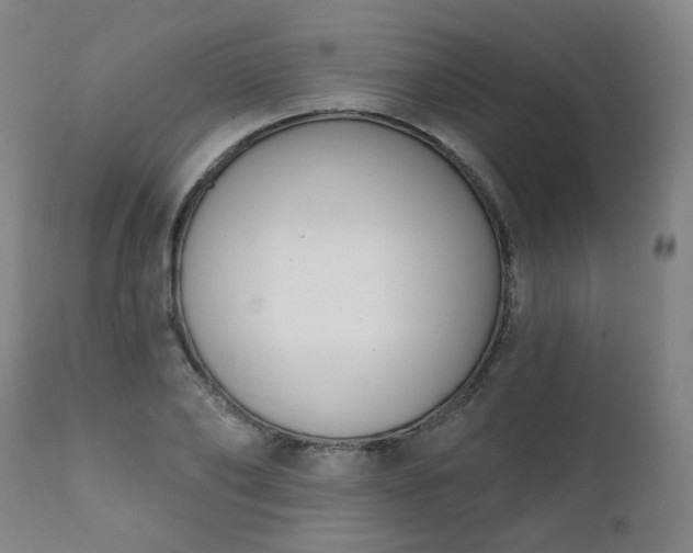 X0000111220886200907091309