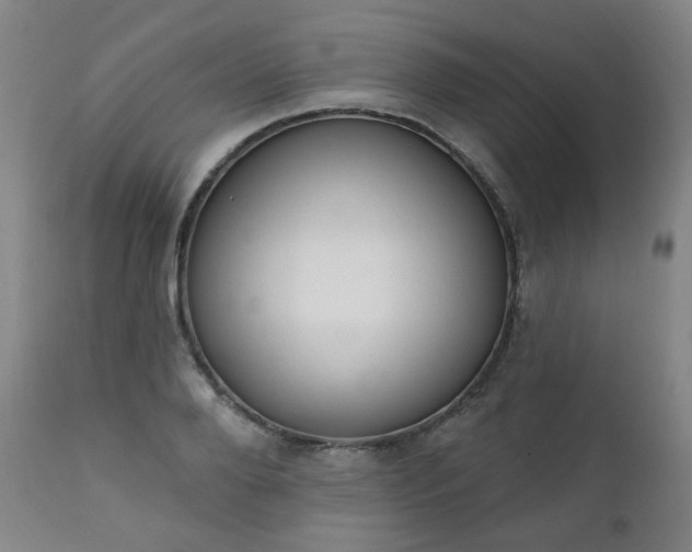 X0000111220888200907091309