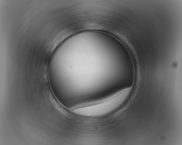 X0000111220889200907091309