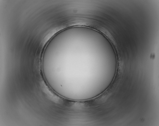X0000111220890200907091309