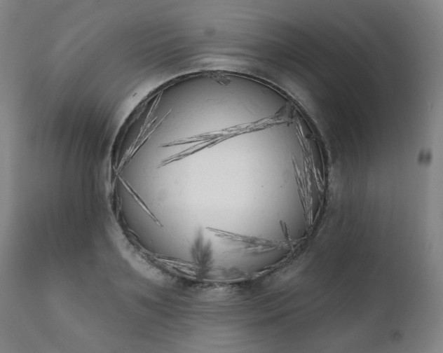 X0000111220891200907091309