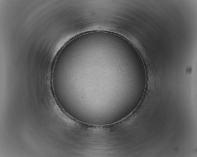 X0000111220896200907091309