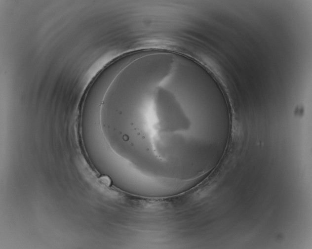 X0000111220899200907091308