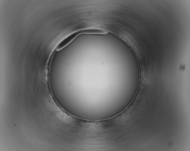 X0000111220900200907091308