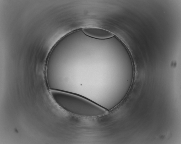 X0000111220901200907091308