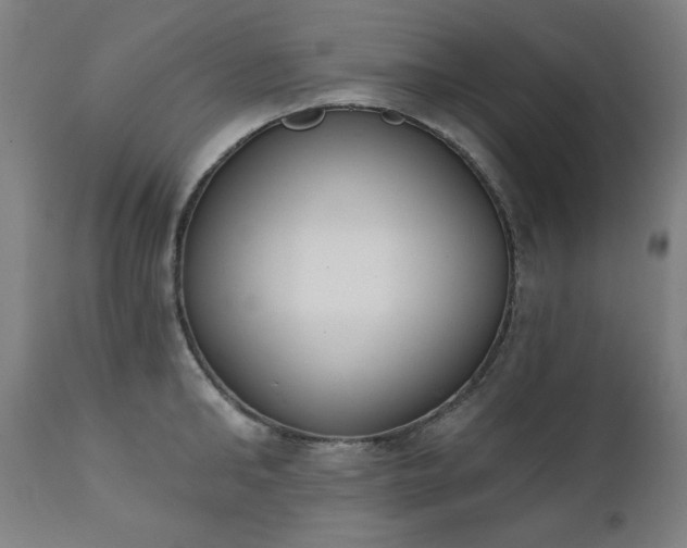 X0000111220902200907091308