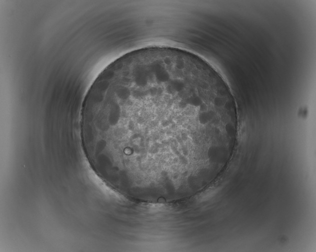 X0000111220903200907091308