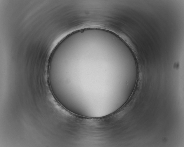 X0000111220904200907091308