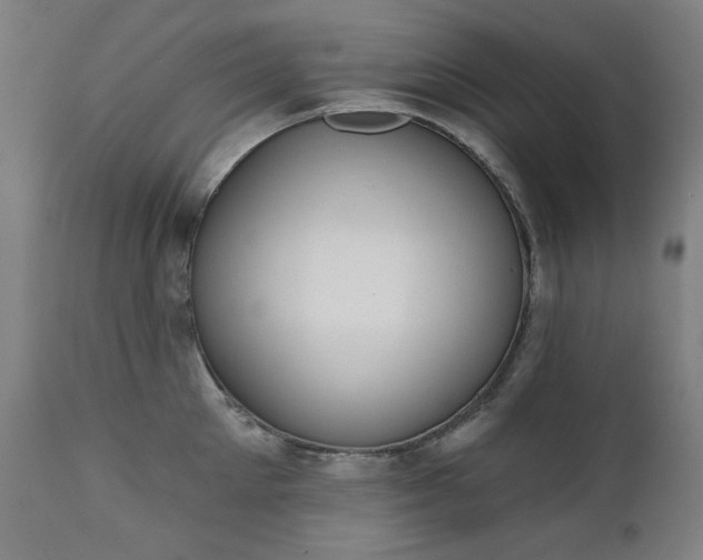 X0000111220905200907091308