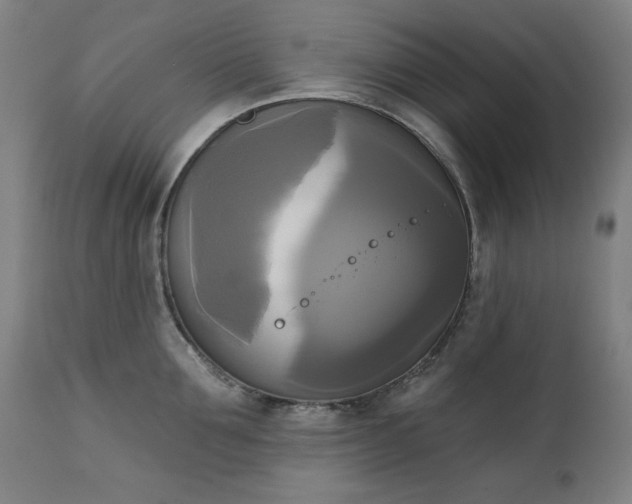 X0000111220907200907091308