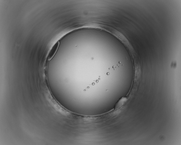 X0000111220908200907091308