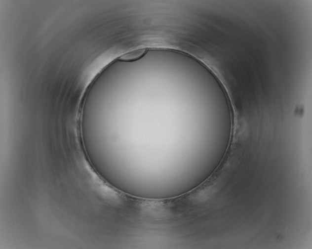 X0000111220909200907091308