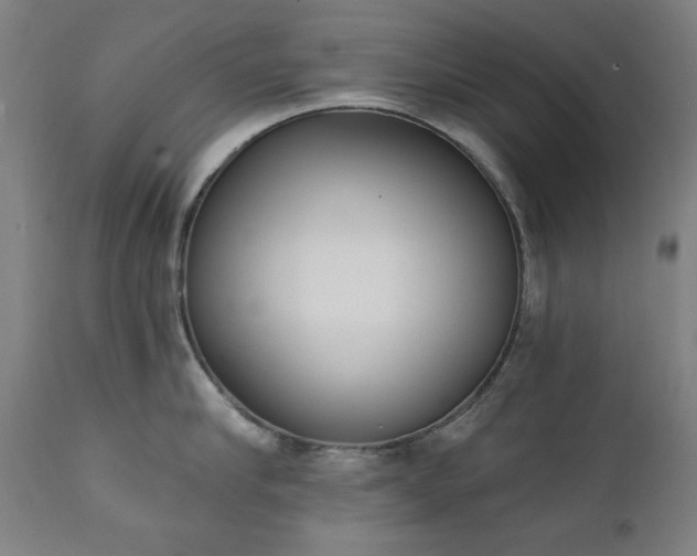 X0000111220910200907091308
