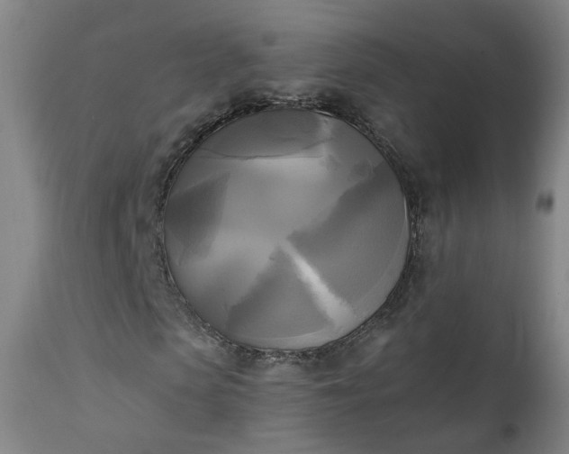 X0000111220913200907091308
