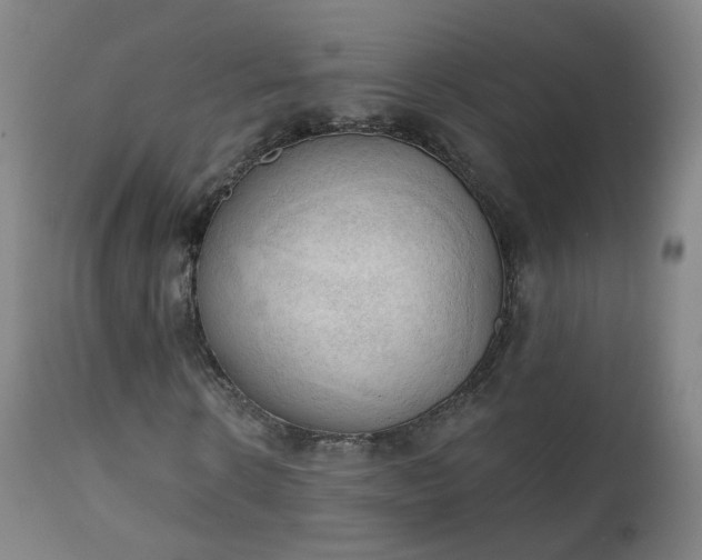 X0000111220914200907091308