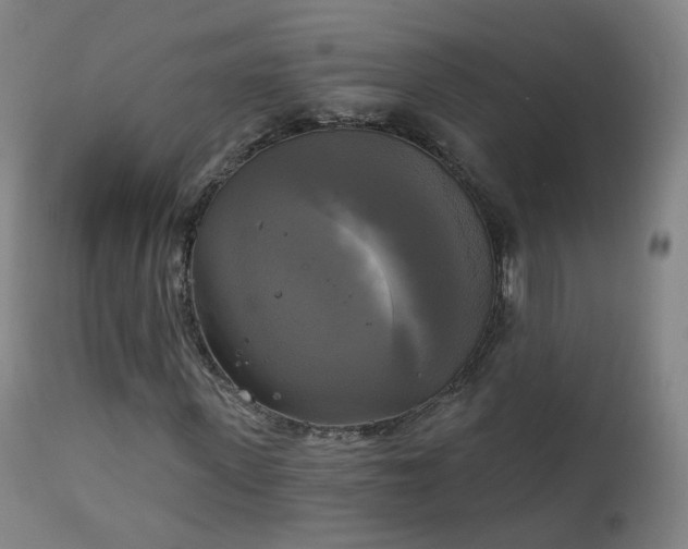X0000111220915200907091308