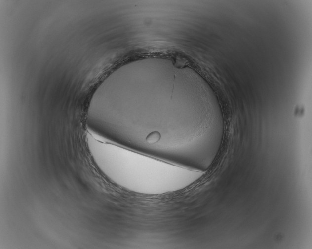 X0000111220916200907091308