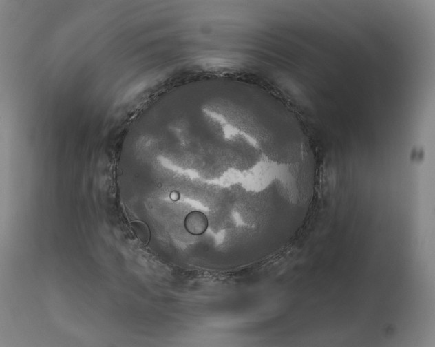 X0000111220917200907091308