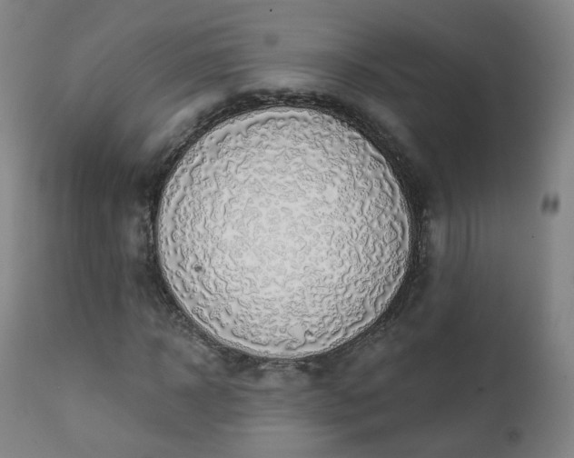 X0000111220918200907091308