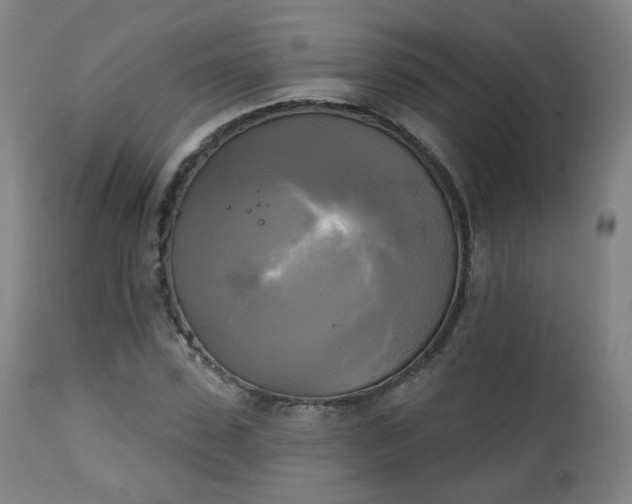 X0000111220923200907091308