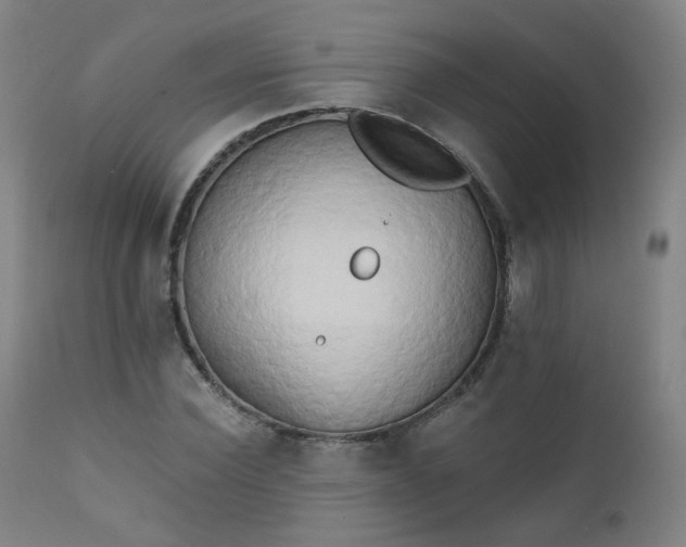 X0000111220924200907091308