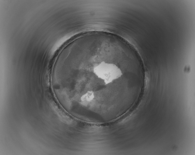 X0000111220925200907091308