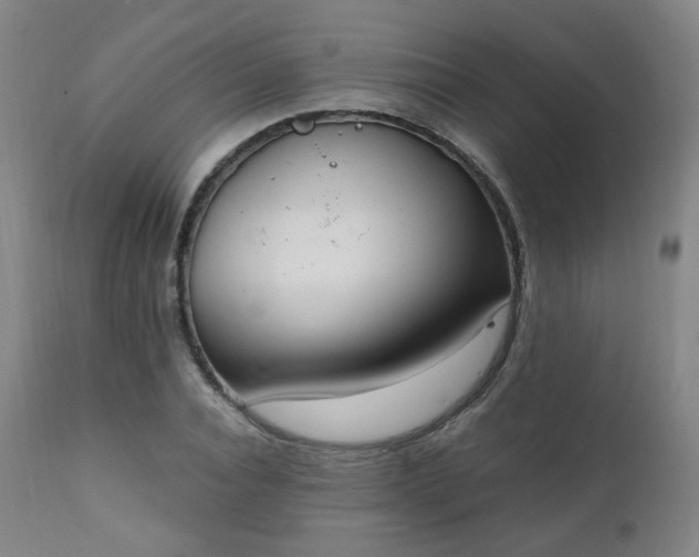 X0000111220928200907091308