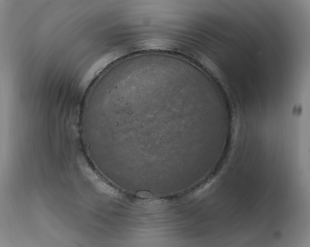 X0000111220930200907091308