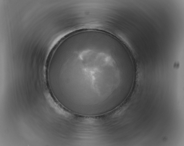 X0000111220932200907091308