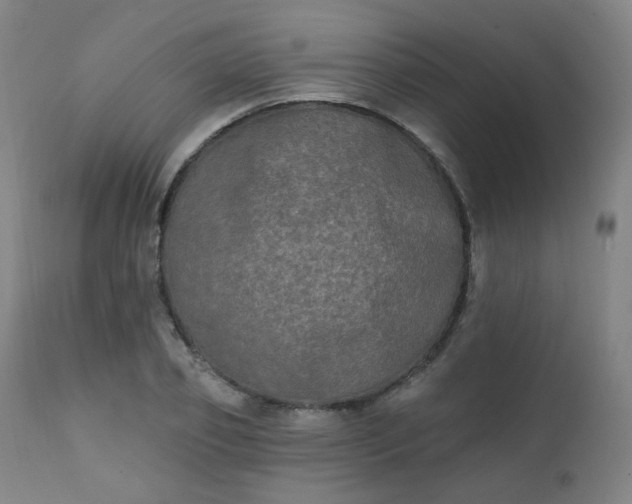 X0000111220933200907091308