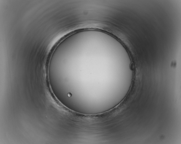 X0000111220936200907091308