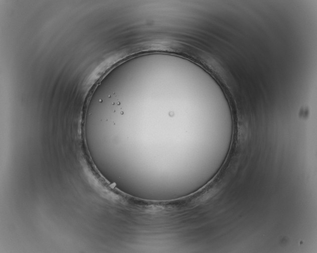 X0000111220938200907091308