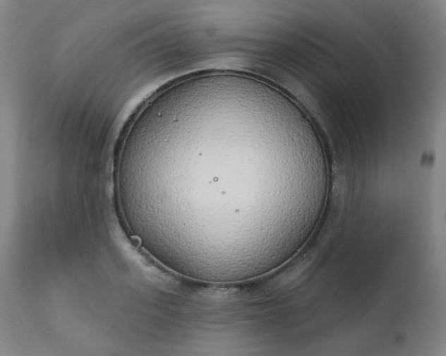 X0000111220939200907091308